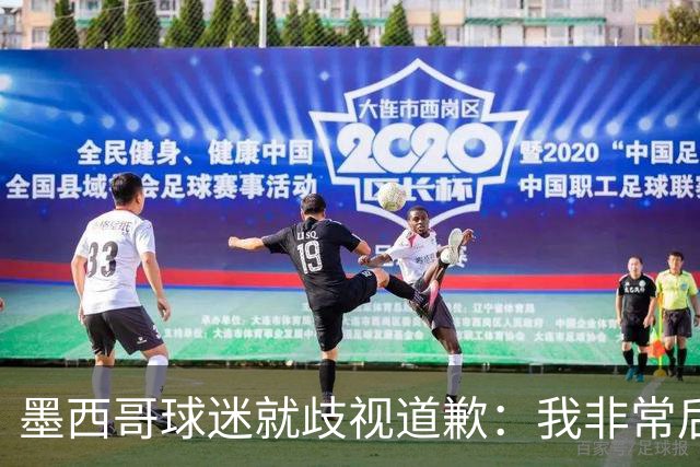 墨西哥球迷就歧视道歉：我非常后悔，已辞去工程师协会职务